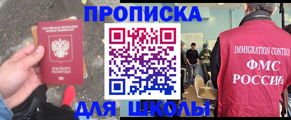 где прописаться в Ельне
