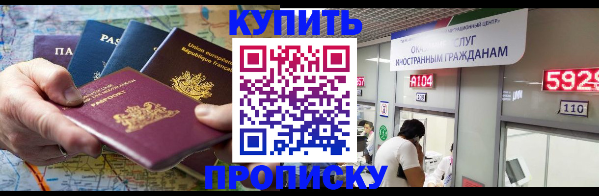 прописка гарантия в Ельне